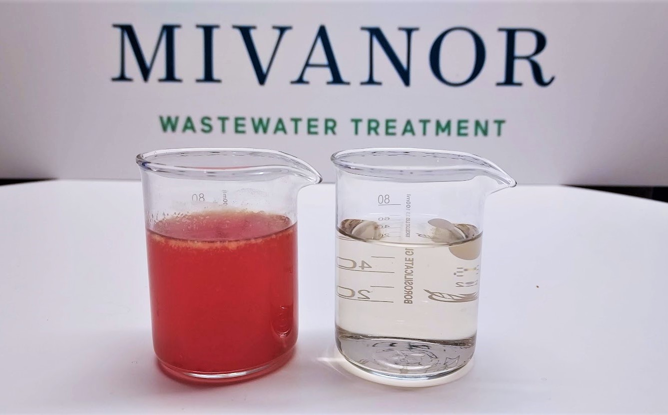This is what bloodwater from a salmon slaughterhouse looks like after small-scale purification. Photo: Mivanor